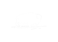 THE LEGACY FLAG
